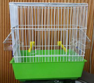 SONG CAGE